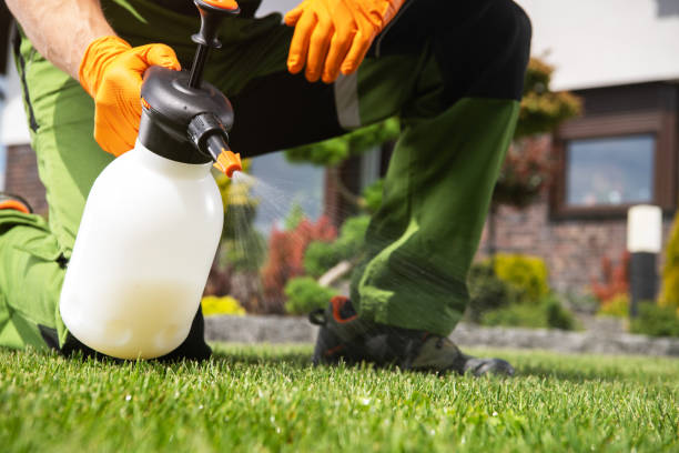 Professional Pest Control in Woodside, PA